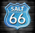 Salt 66 - Logo