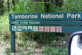 Tamborine National Park - Logo