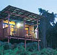 O’Reilly’s Rainforest Retreat - Logo